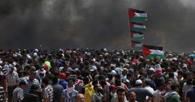 The UN human rights chief calls for an international investigation for Israel