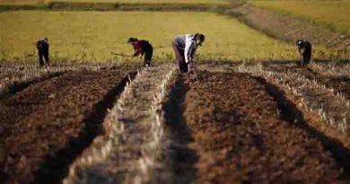 North Korea’s food harvest lowest in a decade :The United Nations .