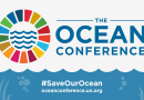 United Nations hosts its annual World Oceans Day celebration  with the 2022 theme.