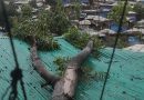 United States Provides $250,000 in Emergency Assistance for Cyclone Mocha Recovery