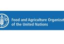 Bangladesh elected a Member of the FAO Council for term from 01 July 2024 to 30 June 2027