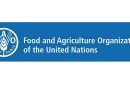 Bangladesh elected a Member of the FAO Council for term from 01 July 2024 to 30 June 2027